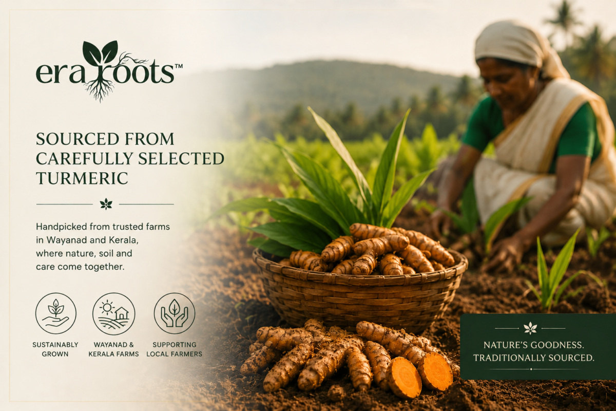 Wayanad Turmeric sourcing image