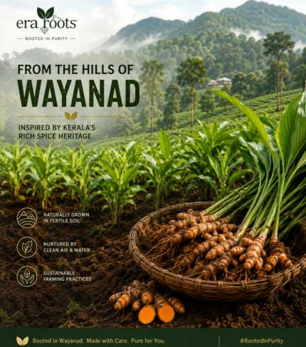 Era Roots Wayanad turmeric farm image
